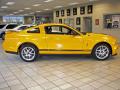 2009 Mustang Shelby GT500 Coupe #6