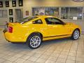 2009 Mustang Shelby GT500 Coupe #7