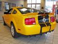 2009 Mustang Shelby GT500 Coupe #10