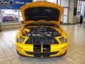 2009 Mustang Shelby GT500 Coupe #31