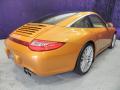  2009 Porsche 911 Nordic Gold Metallic #21