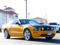 2009 Mustang GT Premium Coupe #2 2009 Mustang GT Premium Coupe #2