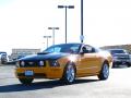 2009 Mustang GT Premium Coupe #11 2009 Mustang GT Premium Coupe #11