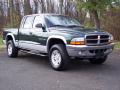  2001 Dodge Dakota Forest Green Pearl #8