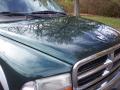 2001 Dakota SLT Quad Cab 4x4 #16