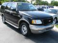 2002 Expedition Eddie Bauer #1 2002 Expedition Eddie Bauer #1