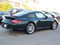 2009 911 Carrera S Coupe #6