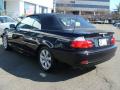 2006 3 Series 325i Convertible #11