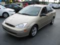  2000 Ford Focus Fort Knox Gold Metallic #5
