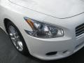 2010 Maxima 3.5 SV #2