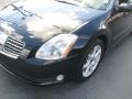 2004 Maxima 3.5 SE #4