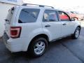2010 Escape XLT 4WD #3 2010 Escape XLT 4WD #3