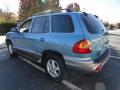 2004 Santa Fe LX 4WD #4 2004 Santa Fe LX 4WD #4