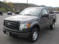 Front 3/4 View of 2010 Ford F150 XL Regular Cab 4x4 #2