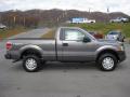  2010 Ford F150 Sterling Grey Metallic #5