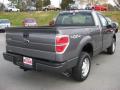  2010 Ford F150 Sterling Grey Metallic #6