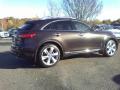  2009 Infiniti FX Midnight Mocha #16