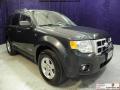 2008 Escape Hybrid #1