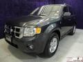 2008 Escape Hybrid #2