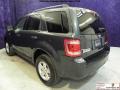 2008 Escape Hybrid #17