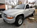  1999 Dodge Durango Light Driftwood Satin Glow #1
