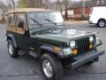 1995 Wrangler Rio Grande 4x4 #11