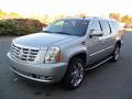 2011 Escalade ESV Luxury AWD #1