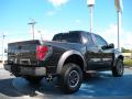  2010 Ford F150 Tuxedo Black #5