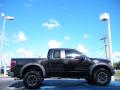  2010 Ford F150 Tuxedo Black #6