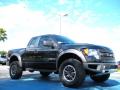  2010 Ford F150 Tuxedo Black #7