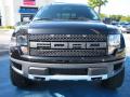  2010 Ford F150 Tuxedo Black #8