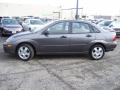  2004 Ford Focus Liquid Grey Metallic #2