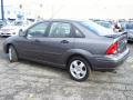  2004 Ford Focus Liquid Grey Metallic #3