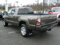  2010 Toyota Tacoma Pyrite Mica #5