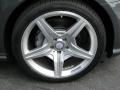  2010 Mercedes-Benz CLS 550 Wheel #9