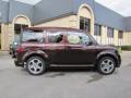 2007 Honda Element Root Beer Metallic #7 2007 Honda Element Root Beer Metallic #7