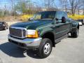  1999 Ford F350 Super Duty Woodland Green Metallic #11