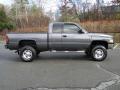  2002 Dodge Ram 2500 Graphite Metallic #4