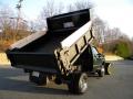 2000 F550 Super Duty XL Regular Cab 4x4 Dump Truck #10