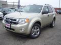 2011 Escape XLT V6 4WD #1