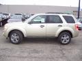  2011 Ford Escape Gold Leaf Metallic #2