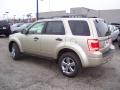 2011 Escape XLT V6 4WD #3