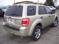 2011 Escape XLT V6 4WD #5