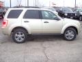 2011 Escape XLT V6 4WD #6