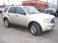 Front 3/4 View of 2011 Ford Escape XLT V6 4WD #7