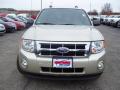 2011 Escape XLT V6 4WD #8