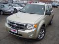 2011 Escape XLT V6 4WD #9