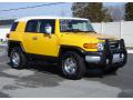 2008 FJ Cruiser 4WD #7