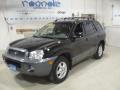 2004 Santa Fe LX 4WD #16