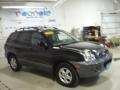 2004 Santa Fe LX 4WD #19